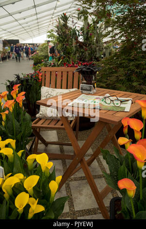 Close-up of staged display with garden table & seat & colourful zantedeschia plants in flower - RHS Chatsworth Flower Show, Derbyshire, England, UK. Stock Photo