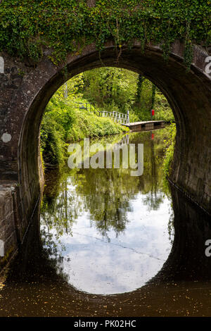 Ireland, Co Leitrim, Drumshanbo, Shannon Blueway canal through R208 road bridge Stock Photo