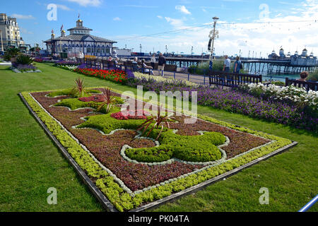 Floral gardens on Eastbourne seafront, East Sussex, England, UK Stock Photo