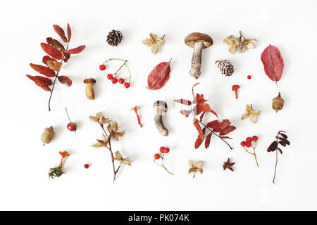Autumn styled botanical arrangement. Composition of mushrooms, acorns, pine cones, beechnuts, colorful dried leaves, little apples and rowan berreis on white table background. Fall design, flat lay. Stock Photo