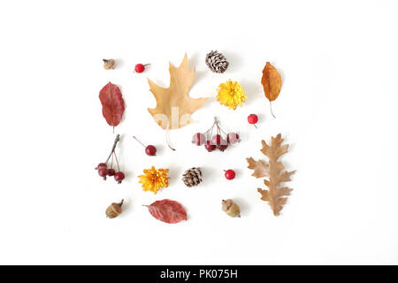 Autumn styled botanical arrangement. Composition of acorns, pine cones, colorful dried oak leaves, little apples and chrysanthemum flowers on white table background. Fall decorative concept, flat lay. Stock Photo