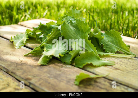 Green lettuce leaves. Lettuce leaves on wooden background. Fresh lettuce on kitchen table. Healthy organic food. Stock Photo