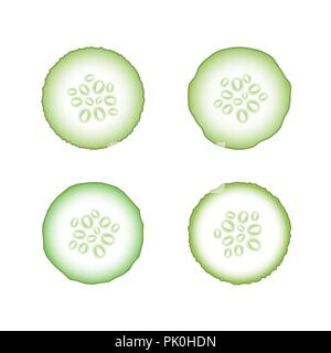 Set of Fresh Green Cucumbers Stock Vector
