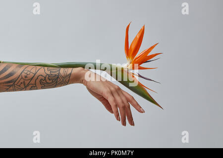 orange blossom tattoo in 2023  Forearm tattoo women Thigh tattoos women  White flower tattoos