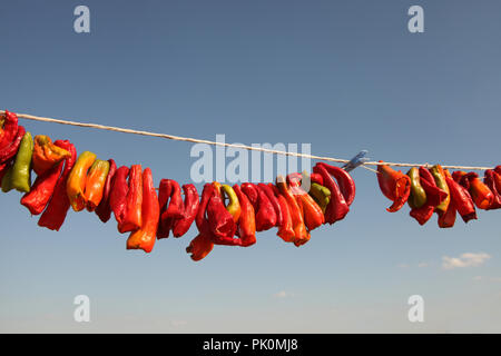 Hanging Red Dry Peppers Stock Photo