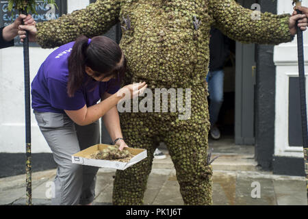 Burryman's Parade takes place in the South Queensferry area of ...