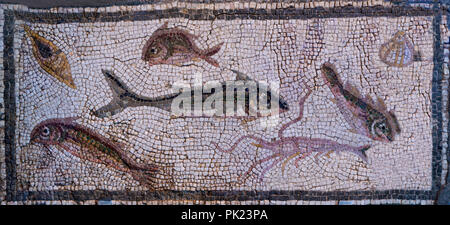 Roman Mosaic Panel Showing Fishes, Antioch, Turkey, 3rd century AD, Art Institute of Chicago, Chicago, Illinois, USA, North America, Stock Photo
