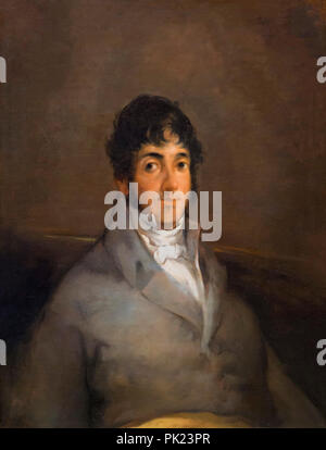 Portrait of Isidoro Maiquez, Francisco Goya, circa 1807, Art Institute of Chicago, Chicago, Illinois, USA, North America, Stock Photo