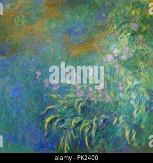 irises, Claude Monet, 1914-1917, Art Institute of Chicago, Chicago, Illinois, USA, North America, Stock Photo