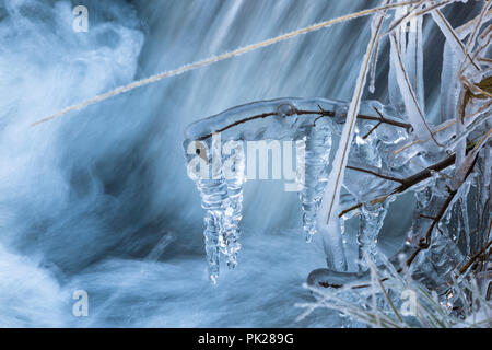 Grass and branches covered with ice at the creek Stock Photo