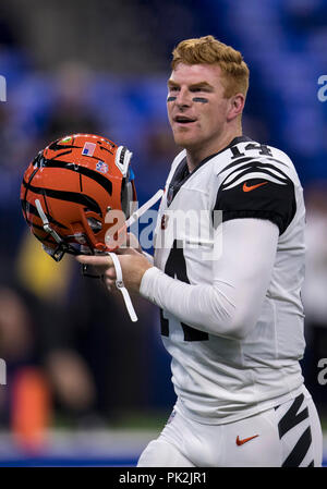 Cincinnati Bengals TE, Tyler Eifert #85, catches a touchdown vs the San  Diego Chargers at PBS, in week 2…