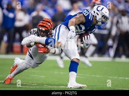 Jordan wilkins colts hi-res stock photography and images - Alamy