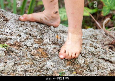 A close up view of a small childs feet standing on a fallen tree stump that was moss growing all over it Stock Photo