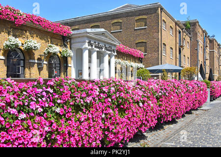 London street scene West India Quay Canary Wharf Petunia flowers at historical Wetherspoons Ledger Building London pub restaurant business England UK Stock Photo