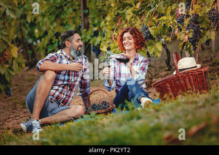Beautiful happy smiling couple are having a picnic in a vineyard and toasting with wine for successful harvest. Stock Photo