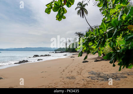 Beach, Corcovado National Park, Osa Peninsula, Costa Rica Stock Photo