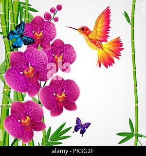 Floral design background. Orchid flowers with bird, butterflies. Stock Vector