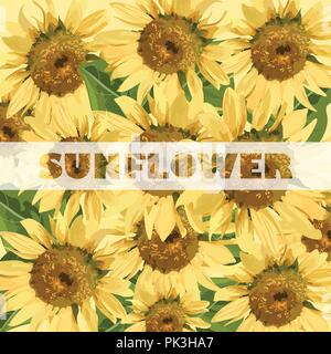 Sunflowers pattern Vector. Summer background beautiful card Stock Vector