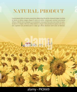 Sunflowers field background Vector. Summer beautiful card Stock Vector