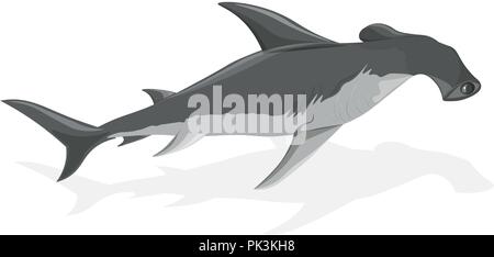 Silver hammerhead shark with shadow isolated on white Stock Vector