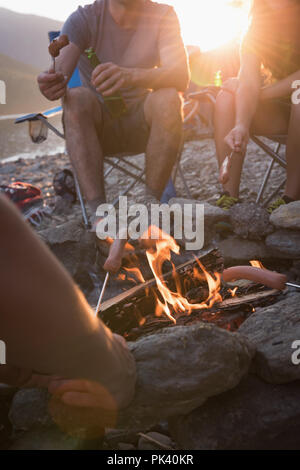 Group of friends roasting hot dogs on campfire Stock Photo