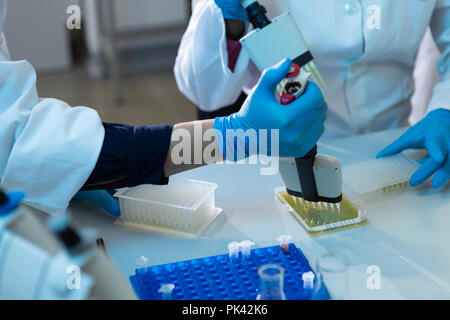 Female scientists using pipette in laboratory Stock Photo