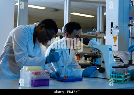 Male scientists experimenting in laboratory Stock Photo