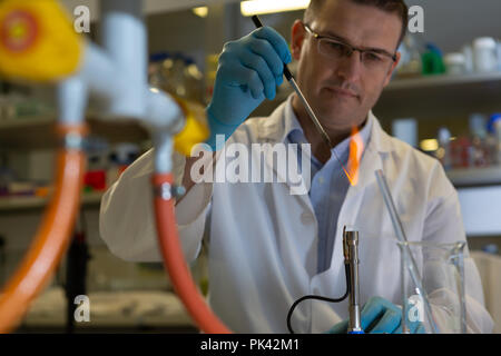Male scientist experimenting in laboratory Stock Photo