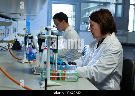 Scientists experimenting in laboratory Stock Photo