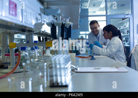 Scientists experimenting in laboratory Stock Photo