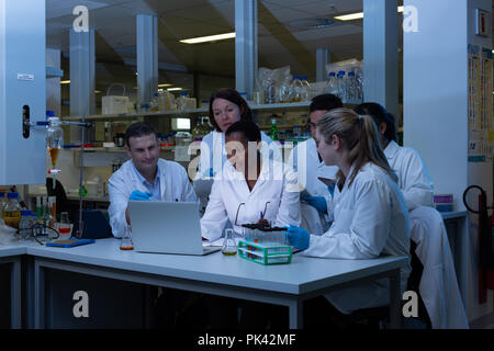 Team of scientist using laptop in laboratory Stock Photo