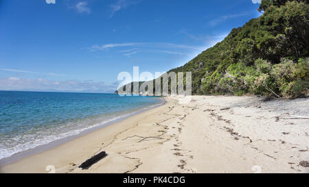Pristine Beach In Abel Tasman Costal Track - New Zealand's Great Walk Stock Photo