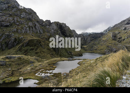 New Zealand Great Walk, Routeburn Track - Mountains, Evergreen Forest and Lakes Stock Photo