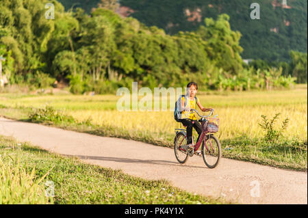 Image Mai Châu image beautiful image beautiful image beautiful image beautiful image beautiful image beautiful image beautiful image beautiful image beautiful - Local girl riding a bicycle in a rice field near Lac Village, Mai ...