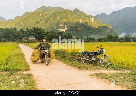 Image Mai Châu image beautiful image beautiful image beautiful image beautiful image beautiful image beautiful image beautiful image beautiful image beautiful - Man riding a motorcycle in a rice field near Lac Village, Mai Chau ...