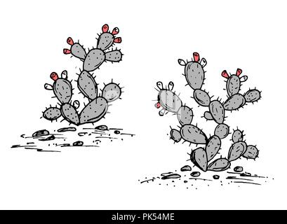 Prickly Pear vector. Opuntia ficus indica sketch. Prickly pear cactus with ripe fruits, two plants set. Hand drawn illustration in stylish color palet Stock Vector