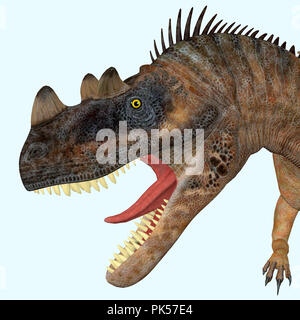 Ceratosaurus Dinosaur Head - Ceratosaurus was a theropod carnivorous dinosaur that lived in North America during the Jurassic period. Stock Photo