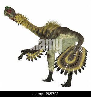 Citipati Dinosaur Tail - Citipati was a carnivorous Velociraptor dinosaur that lived in Mongolia during the Cretaceous Period. Stock Photo
