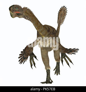 Citipati Female Dinosaur on White - Citipati was a carnivorous Velociraptor dinosaur that lived in Mongolia during the Cretaceous Period. Stock Photo