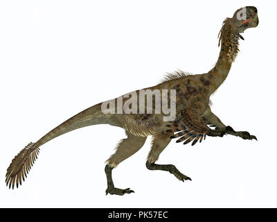 Citipati Female Dinosaur Side Profile - Citipati was a carnivorous Velociraptor dinosaur that lived in Mongolia during the Cretaceous Period. Stock Photo