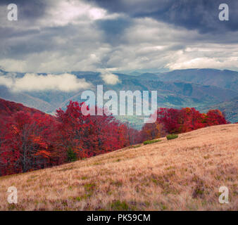 Cloudy autumn morning in the mountains. Mountain valley Brailka, Carpathian, Ukraine, Europe. Stock Photo