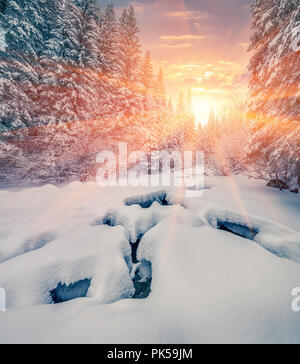 Colorful winter sunrise in the mountain forest with dark water river. Stock Photo