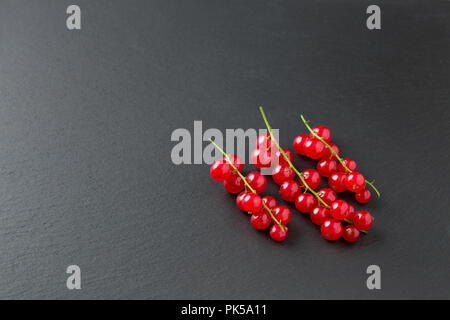 Fresh ripe red currants isolated on black slate board. Gray stone background. Front view with copy space. Studio Shot Stock Photo