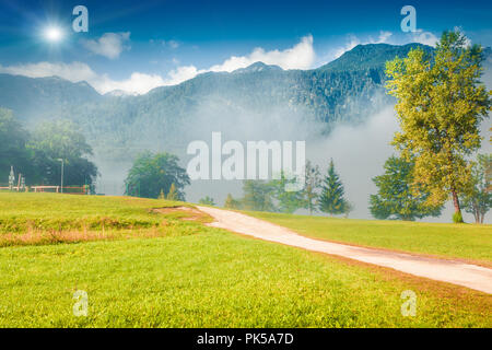 Misty summer scene in the Triglav national park, near the Bohinj lake. Slovenia, Alps, Europe. Stock Photo