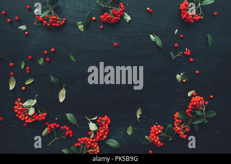 Flat lay wild red berries on dark background, top view overhead summer season copy space backdrop with fruit pattern arrangement Stock Photo