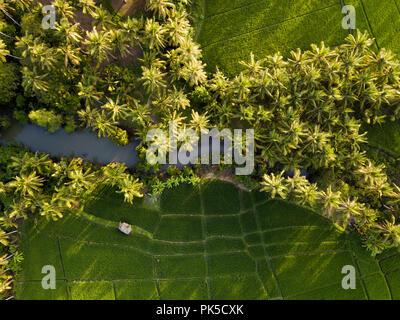 Aerial view of rice fields,Bali,Indonesia Stock Photo