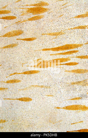 Abstract background- rain drops stained a terra cotta wall- when turned vertical looks like tiny schooling fish Stock Photo