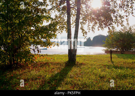 Sunburst through the green leaves of a tree on the shores of a tranquil lake surrounded by woodland in a scenic landscape Stock Photo