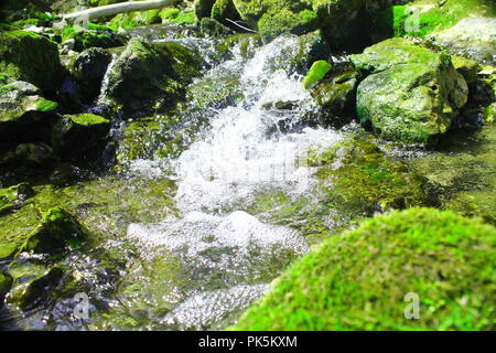 A little stream of water running over moss-covered rocks and pooling at the bottom Stock Photo