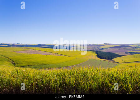 Valley of a Thousand hills landscape. Green hills panorama. South African landmark near Durban. Stock Photo